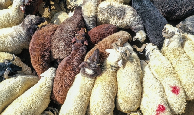 Bunu yapanlar yandı