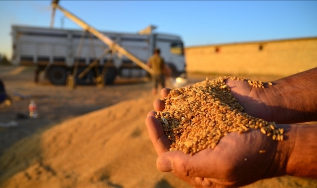 Çiftçilerin yüzü güldü