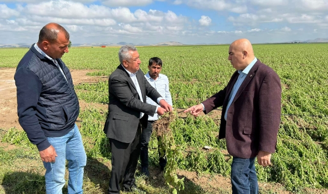 Dolunun zararı büyük