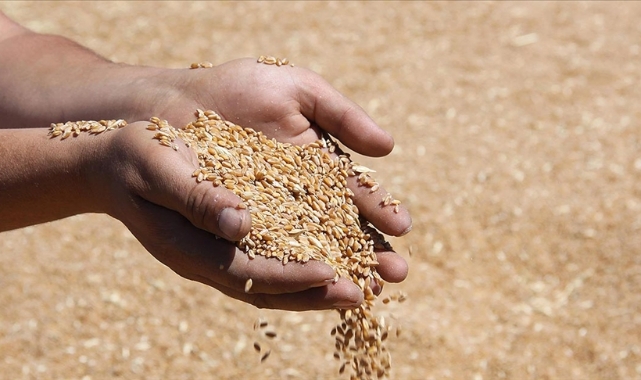 Hububat satış fiyatları belli oldu
