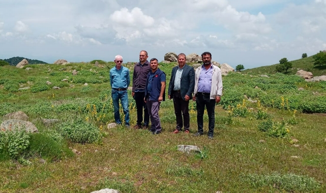 Karadağ Balına sertifika