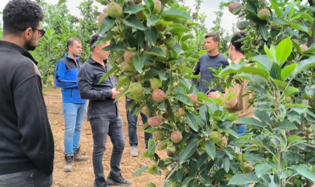 Karaman’ın elması korunuyor