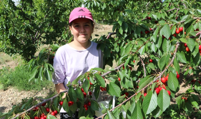 Karaman'ın kırmızı incisi