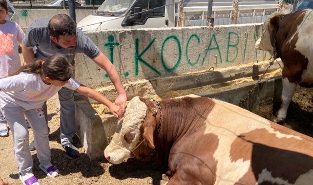 Kurban Bayramı hareketliliği başladı