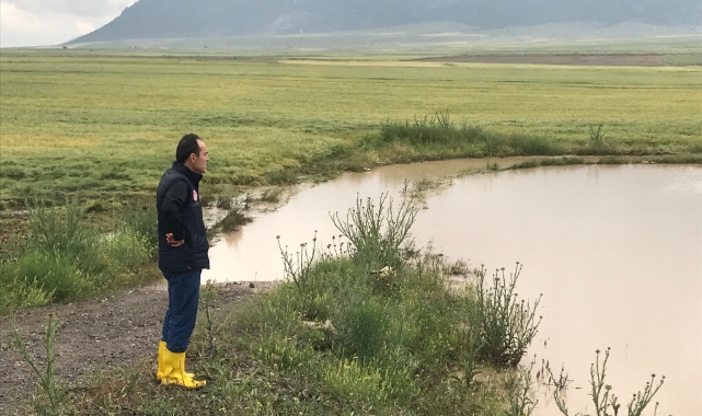 Selin bilançosu ağır