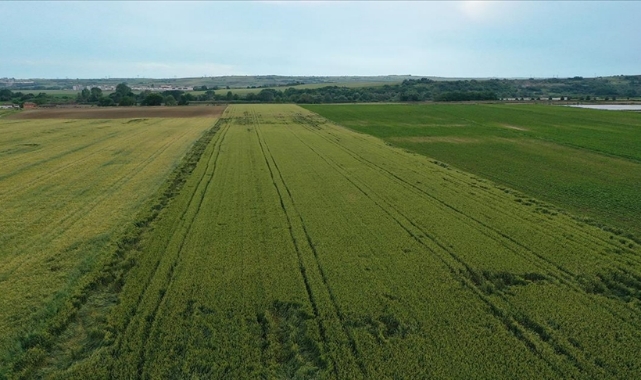 Türkiye&#039;de tarımsal kuraklık riski
