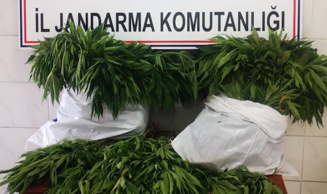 2 zanlı tutuklandı