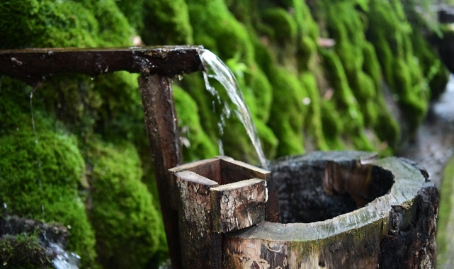 5 görülesi yer: &quot;KARAMAN&quot;