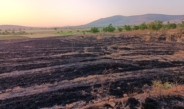 Arpa ekili tarla yandı