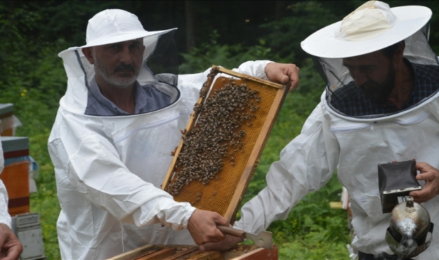 Balın kilogram maliyeti belirlendi