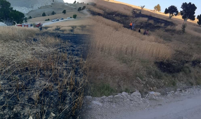 Bir yıllık emek kül oldu