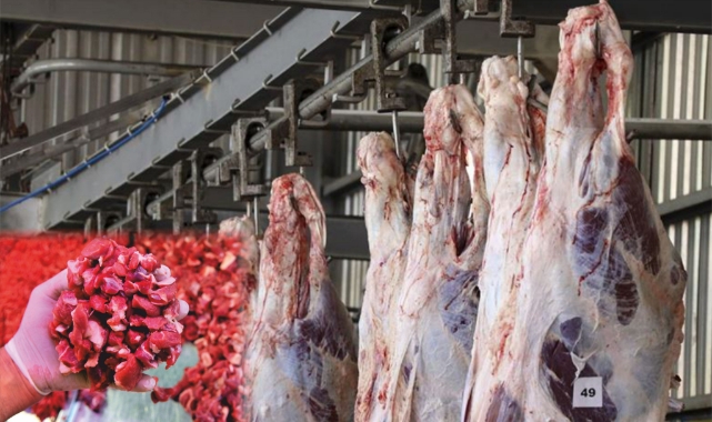 Bu mezbaha Karaman&#039;a yakışmıyor!