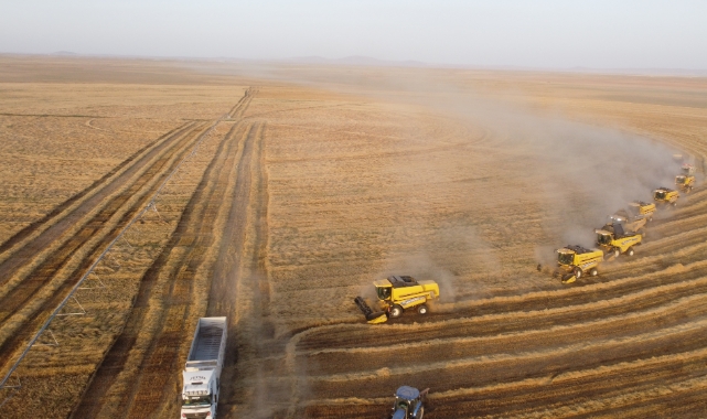 Büyük hasat başladı