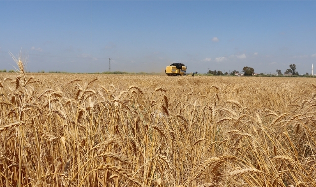 Çiftçilere destek ödemesi yapılıyor