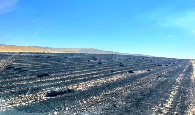 Çiftçinin emeği kül oldu