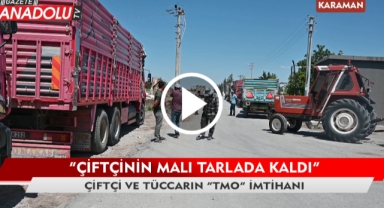 "Çiftçinin malı tarlada kaldı" - Çiftçi ve tüccarın "Hasat" imtihanı - Karaman