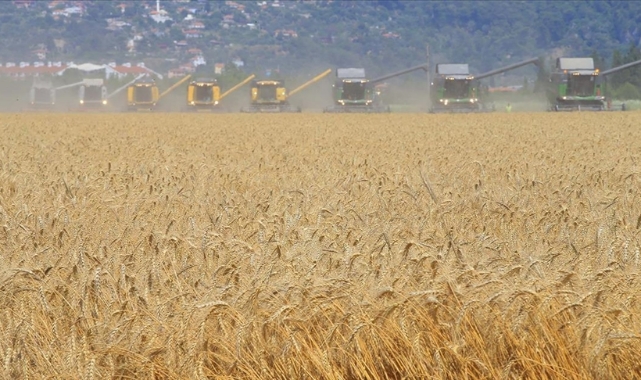 En fazla ödeme "dolu" hasarlarına yapıldı