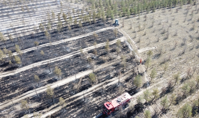 Erozyon önleme sahasında çıkan yangın söndürüldü