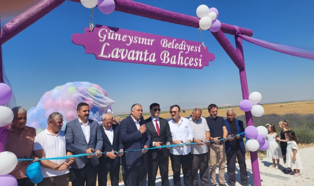 Güneysınır'da lavanta bahçeleri açıldı