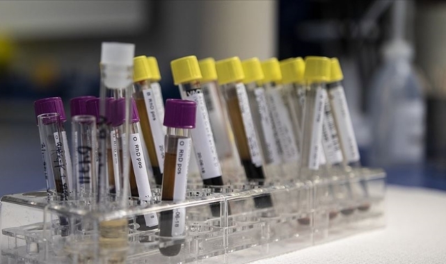 Hepatit B ve C hastalığı yayılıyor