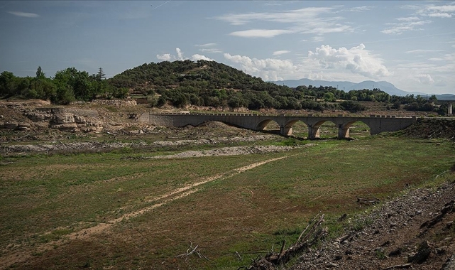 Her yıl yüzde 3 artıyor