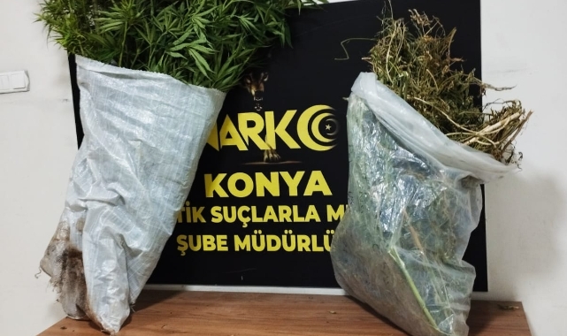 Hint kenevircisi tutuklandı