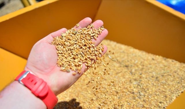 İlk mahsul satışı yapıldı