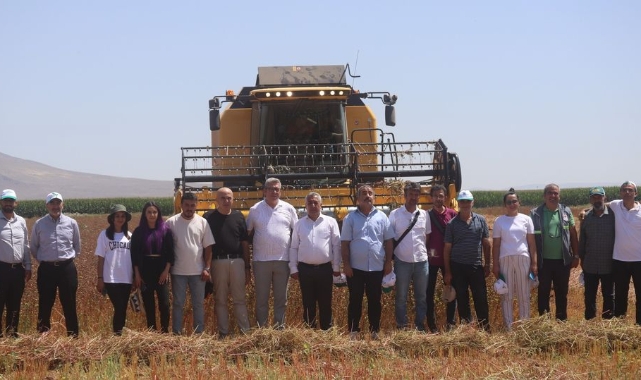 Karabuğday hasadı yapıldı