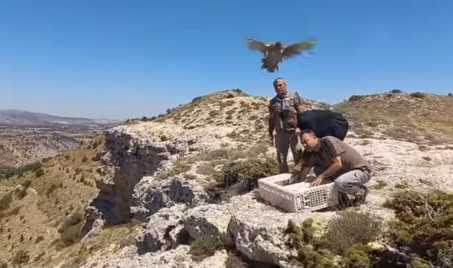 Medreselik köyünde doğa ile buluştular