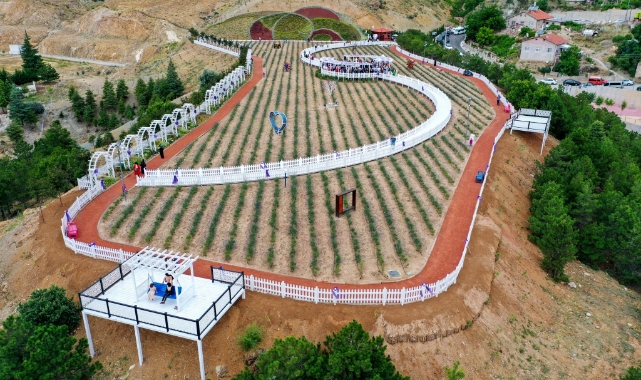 "Meram Lavanta Bahçesi" açıldı