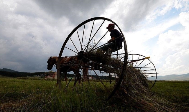Tarımsal destek ödemesi bugün hesaplarda