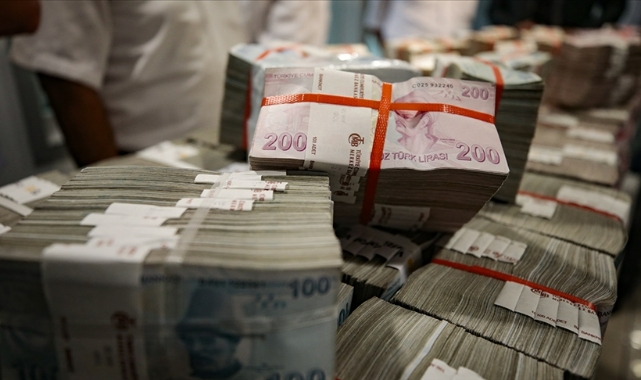 Türk lirasının hacmi arttı