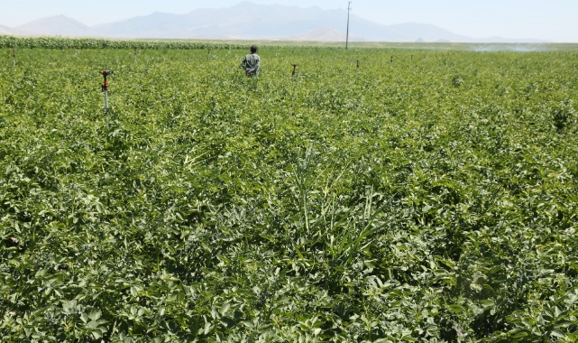 Üreticilere 182 milyon avans ödemesi