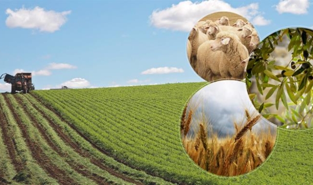 Üreticilere 237 Milyon 819 Bin TL Ödeme  ​