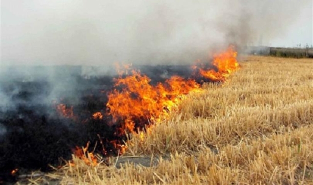 Yararı yok zararı çok 