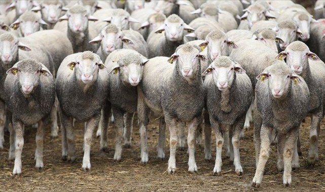 Yetiştiricilere sigorta çağrısı