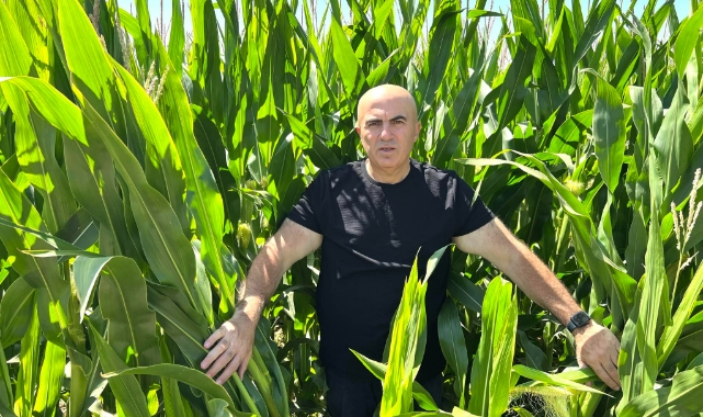 “Çiftçinin emeğine yazık”