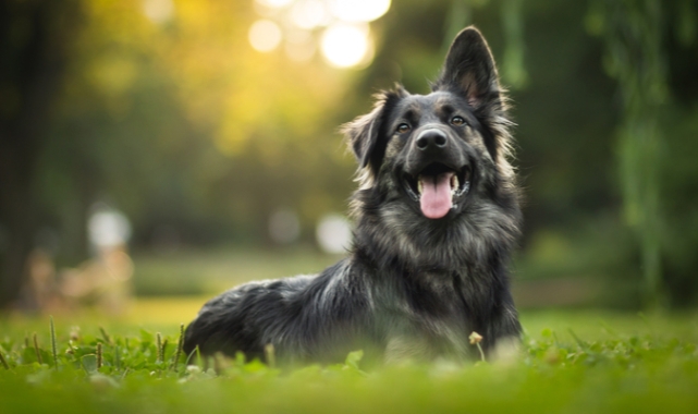 Hepsiburada’dan örnek davranış