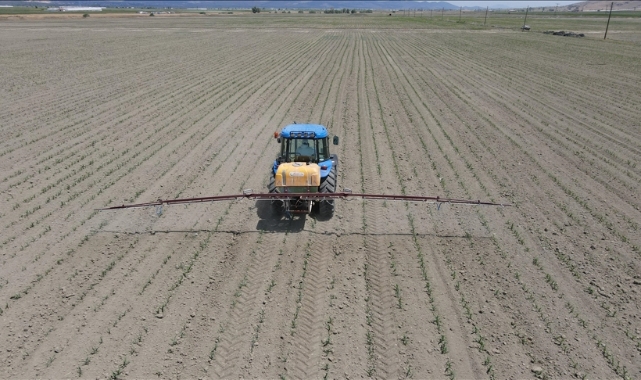 Hibe kazananlar belli oldu