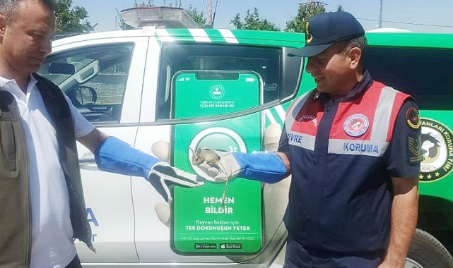 Jandarma can suyu oldu