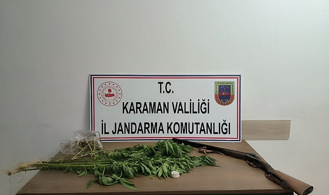 Kenevir eken şahıs gözaltına alındı