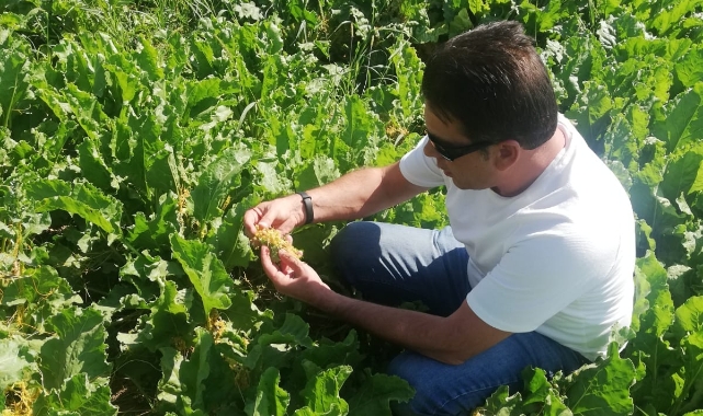 Kontroller devam ediyor