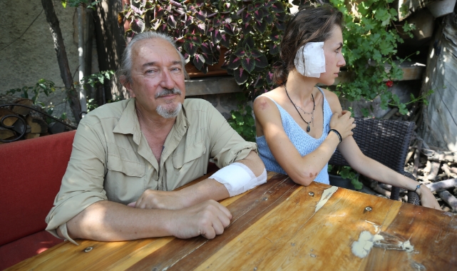 Köpekler dehşet saçtı