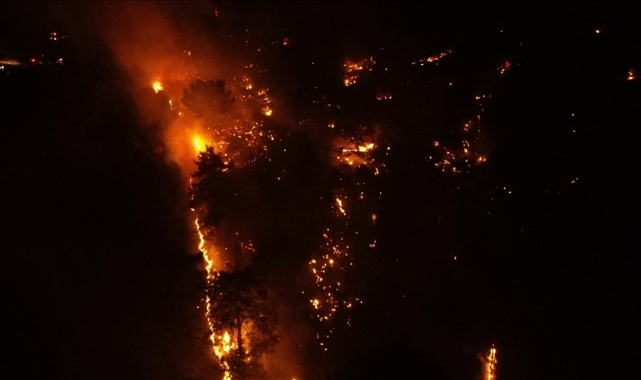 Orman yangınlarının sebepleri