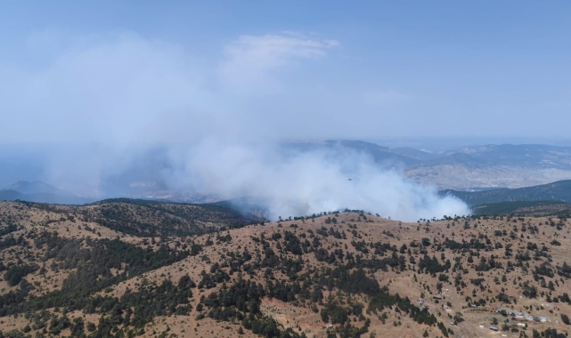 Ormanlık alanda korkutan yangın!