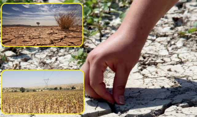 Tarımsal devrimin ayak sesleri!