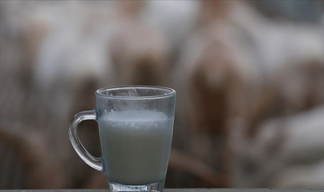 Toplanan inek sütü miktarı arttı