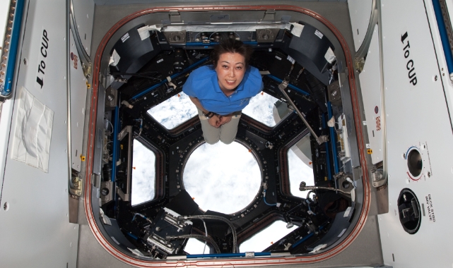 Uzaya açılan pencere