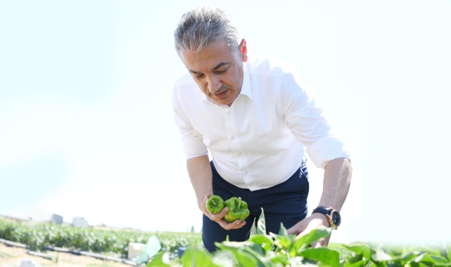 Vali Akkoyun Çiğdemli köyünü ziyaret etti