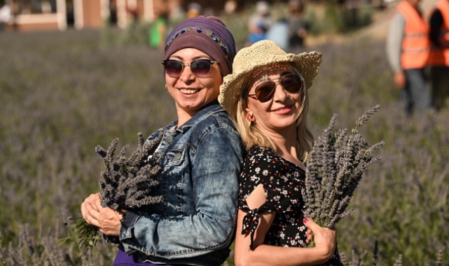 Vatandaşlar lavanta hasadına katıldı